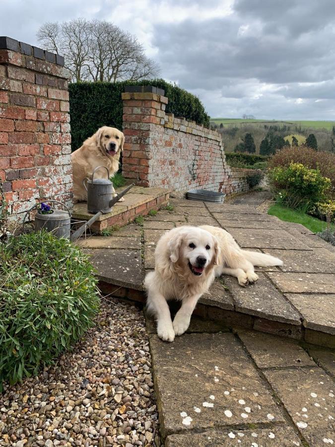 Braunston Manor Holiday home *
